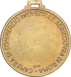 Immagine rovescio