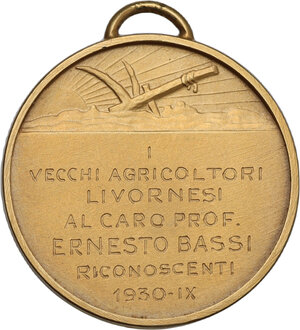 Immagine rovescio