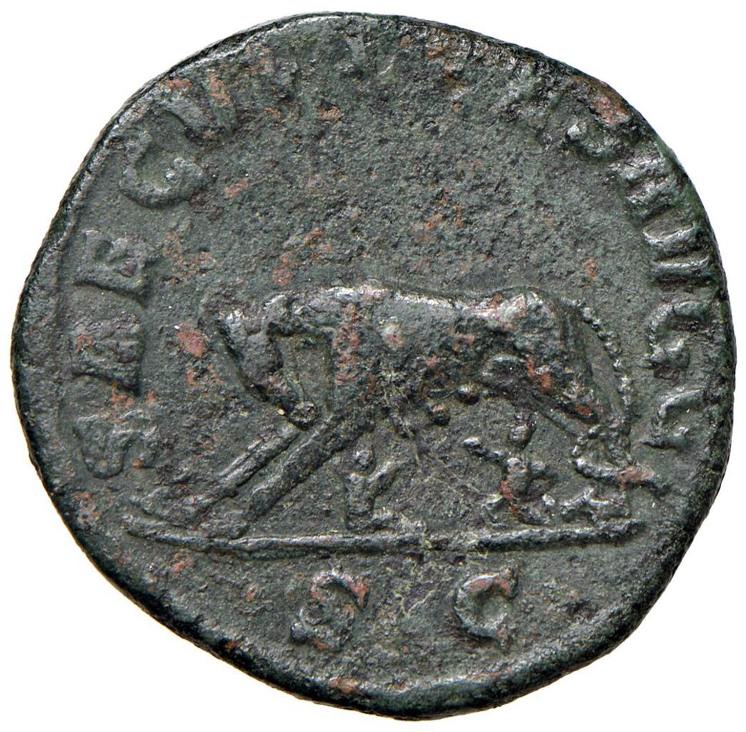 Rovescio moneta