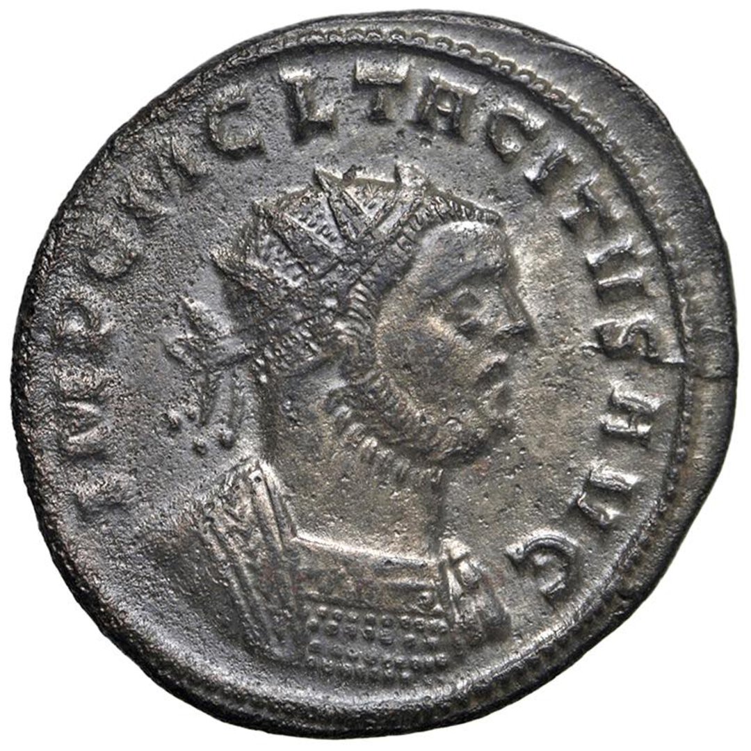 Dritto moneta