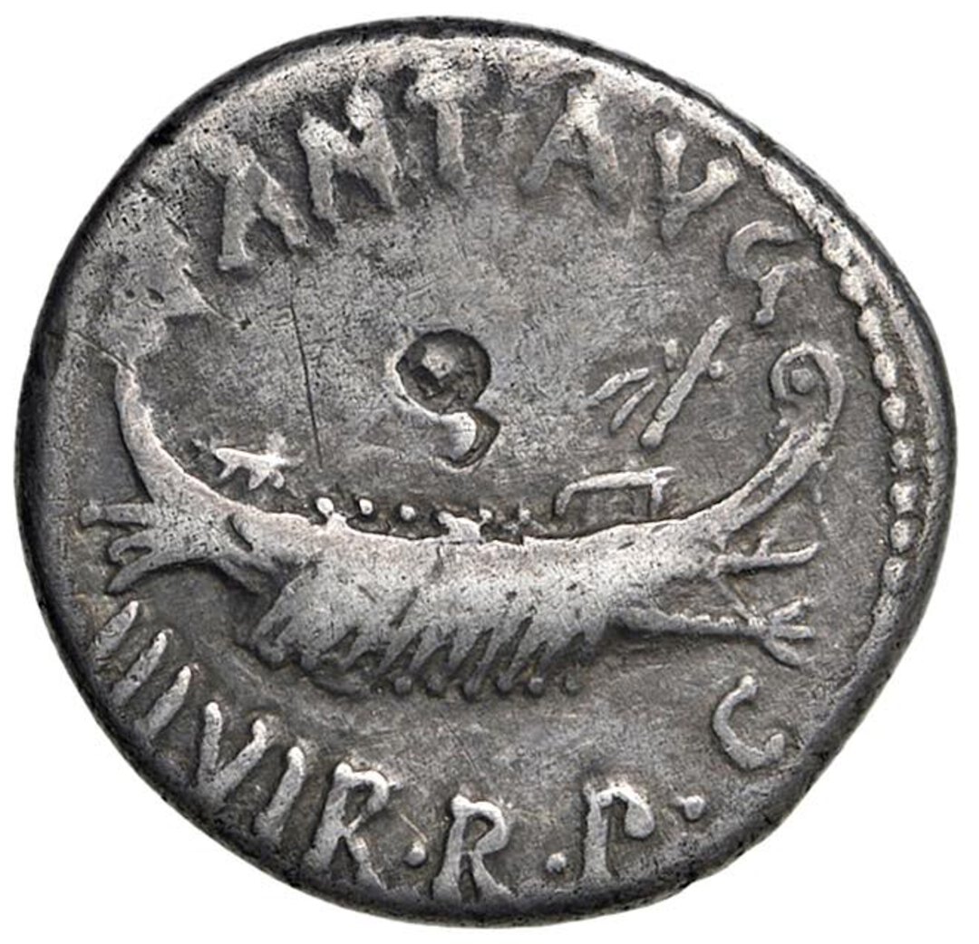 Dritto moneta