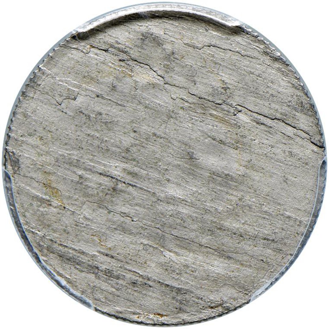 Dritto moneta