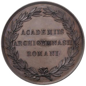 Immagine rovescio