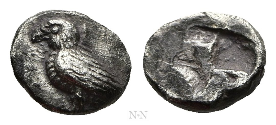 Dritto moneta