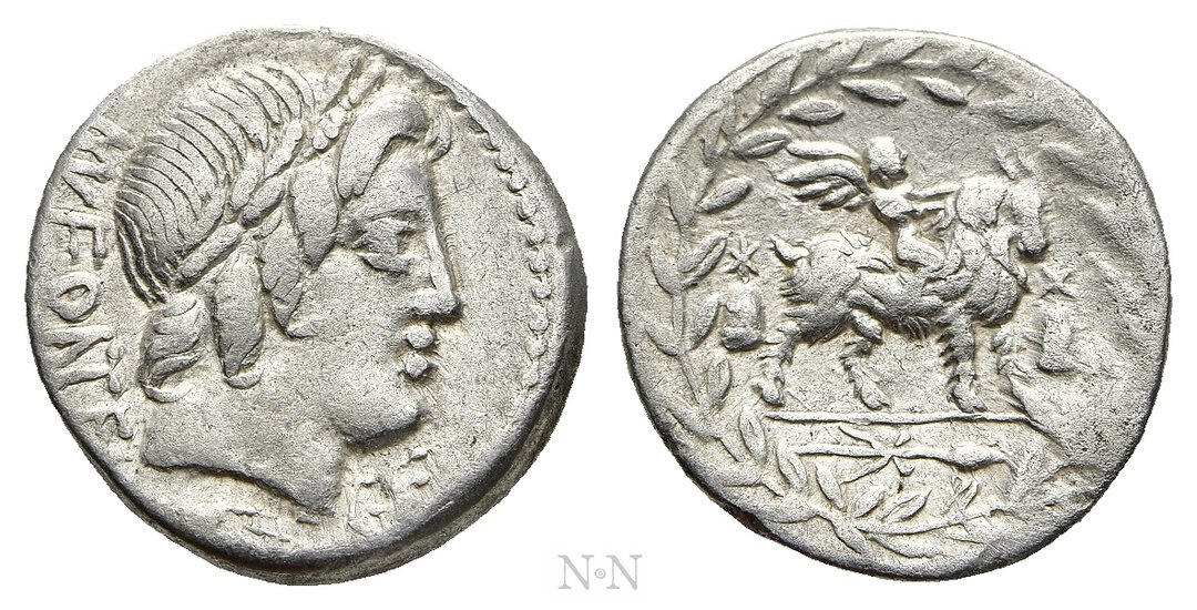 Dritto moneta