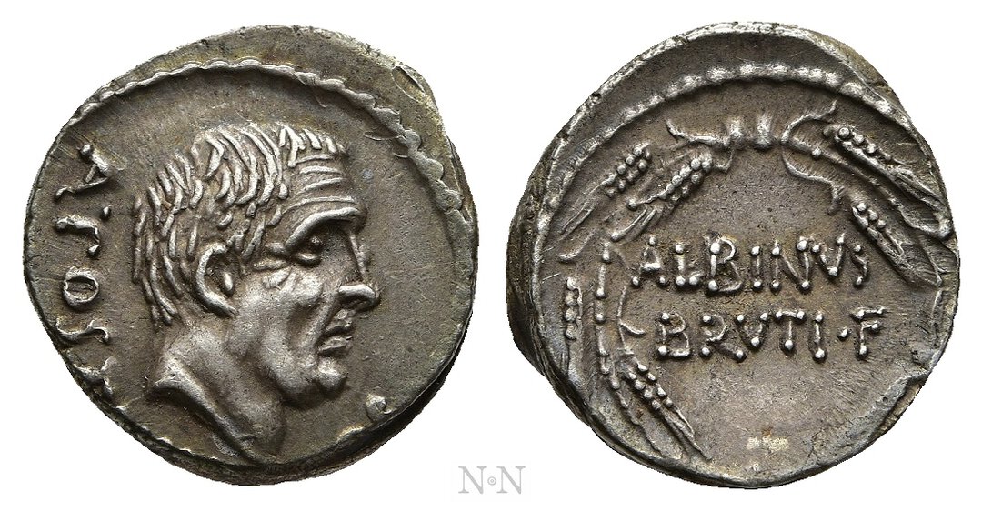 Dritto moneta