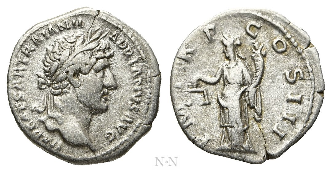Dritto moneta