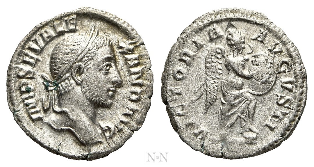 Dritto moneta