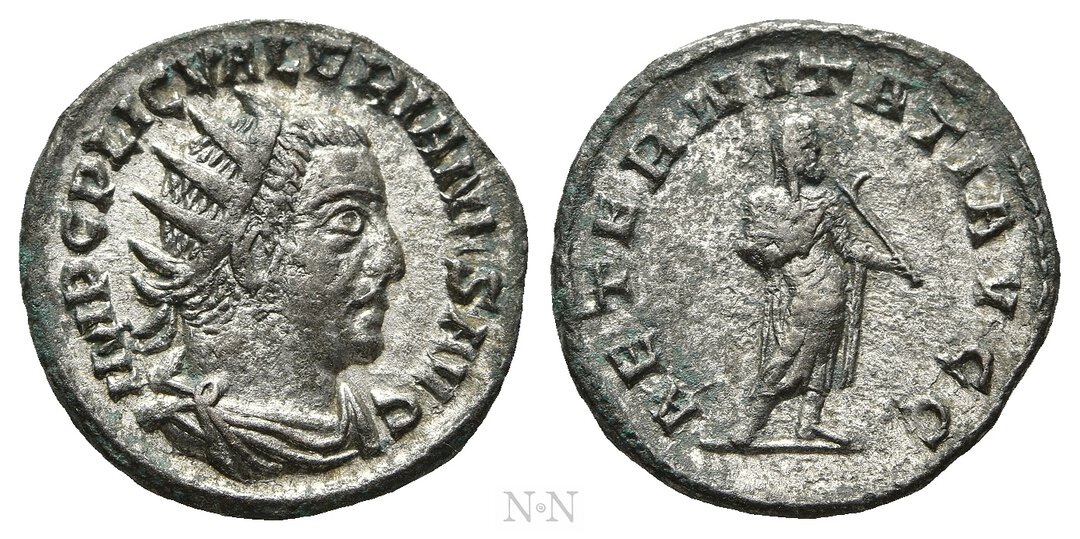 Dritto moneta