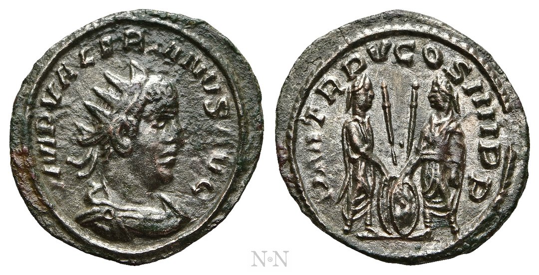 Dritto moneta
