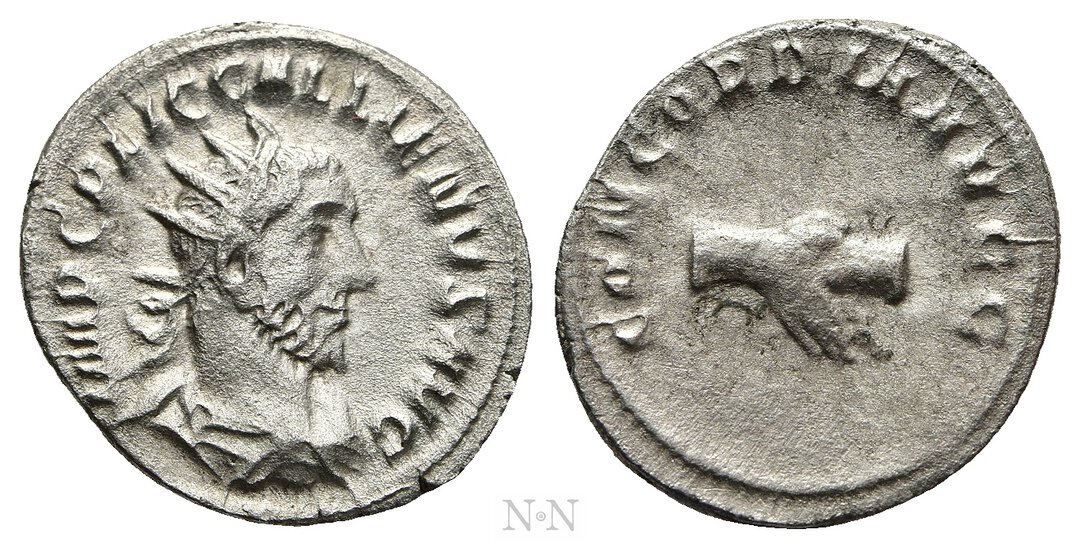 Dritto moneta