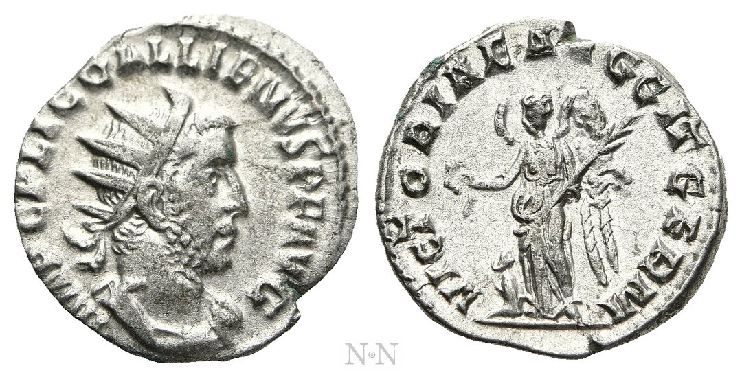 Dritto moneta