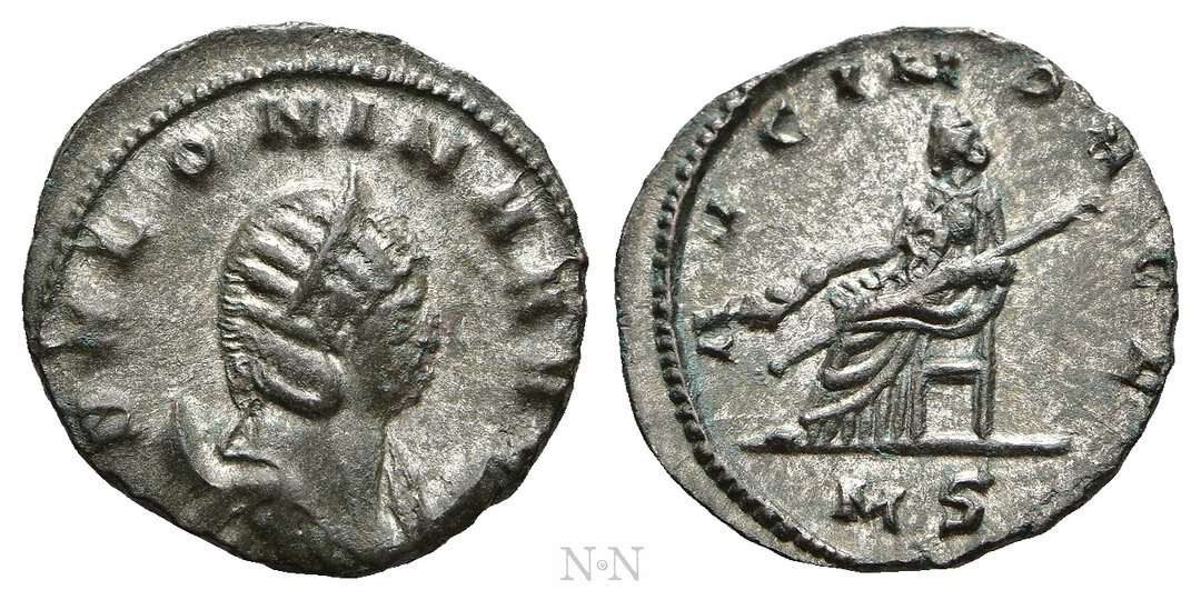 Dritto moneta
