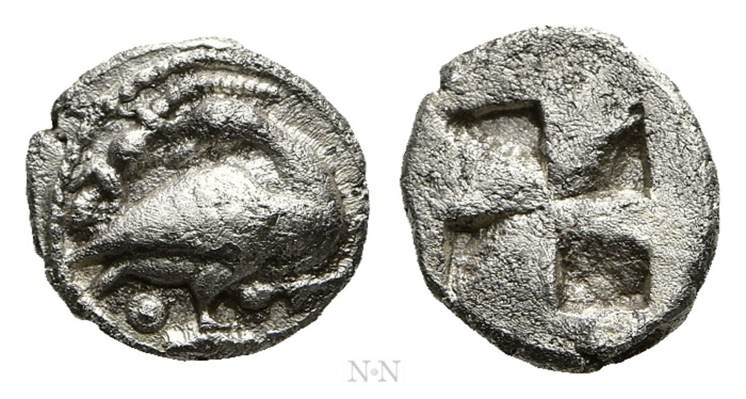 Dritto moneta