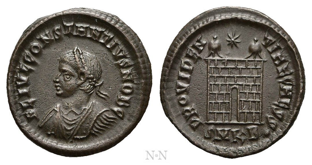 Dritto moneta