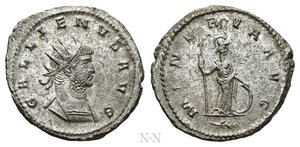 Immagine diritto