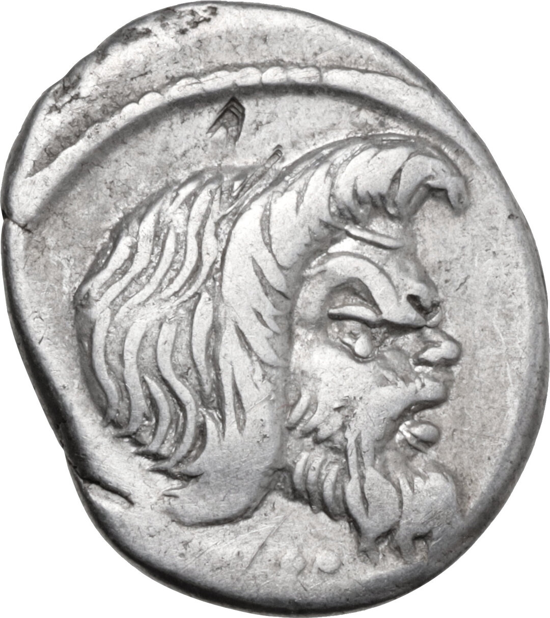 Dritto moneta