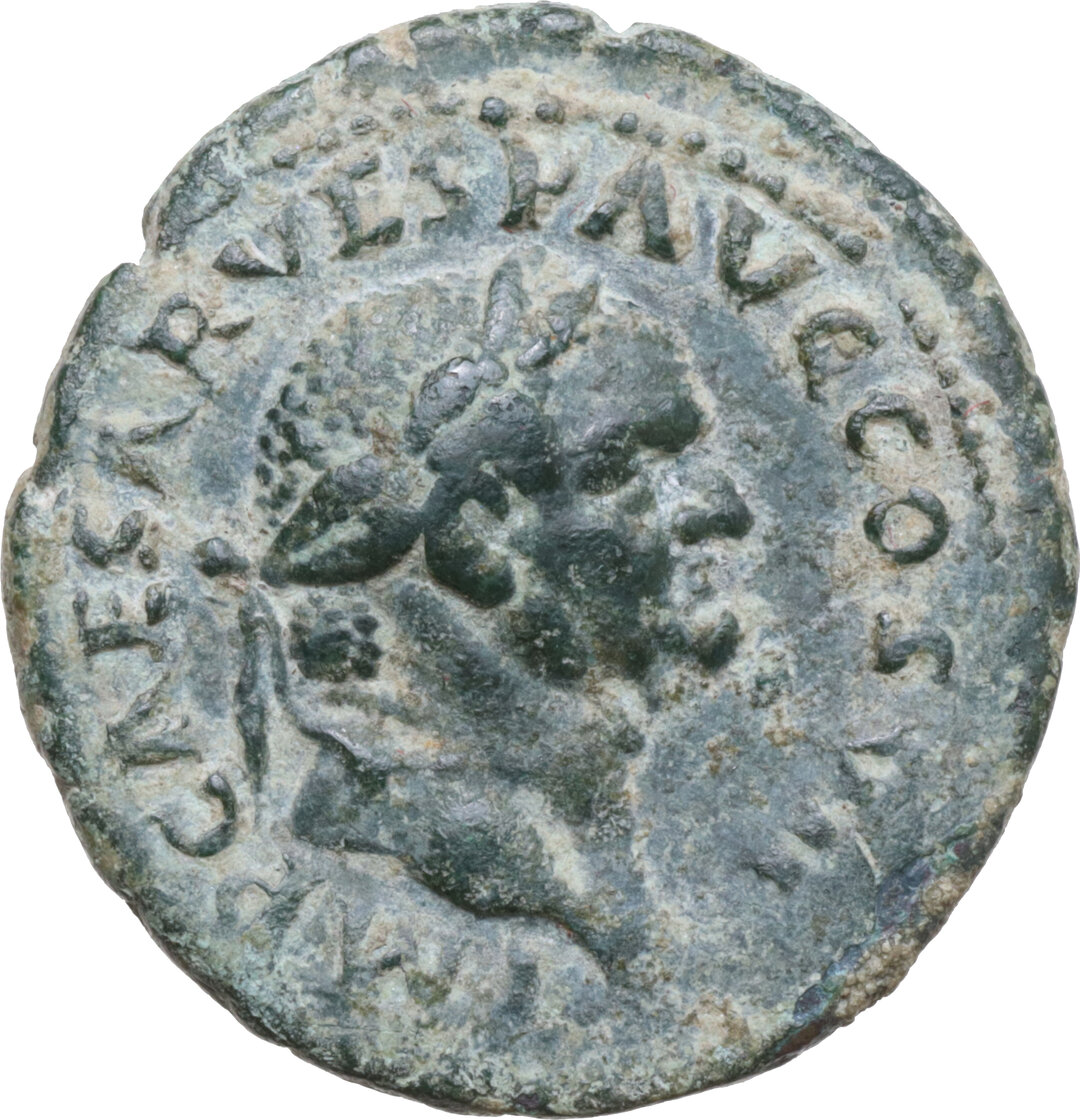 Dritto moneta