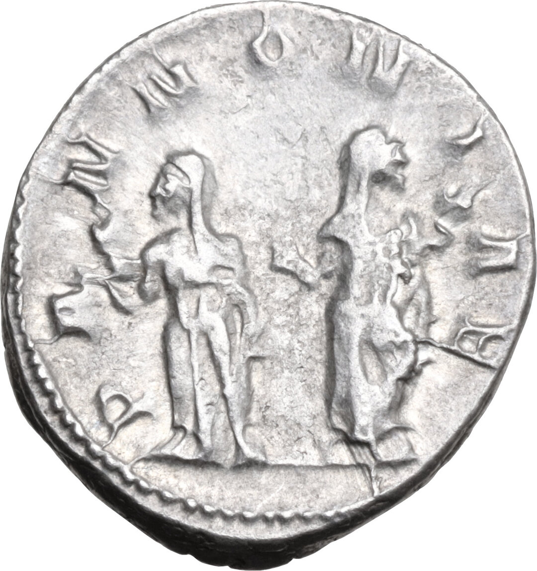 Rovescio moneta