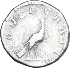 Immagine rovescio