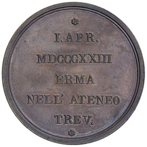 Immagine rovescio