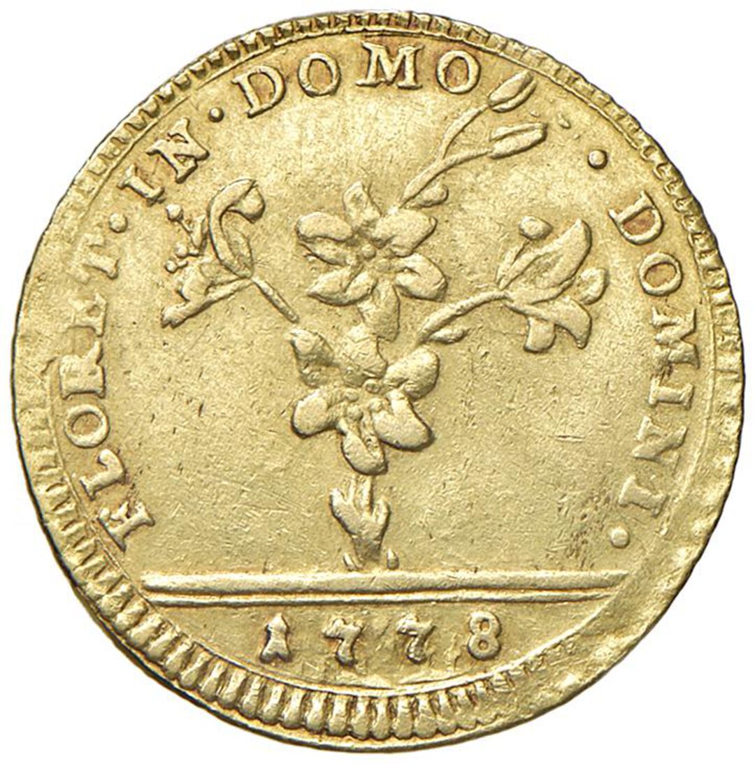 Dritto moneta