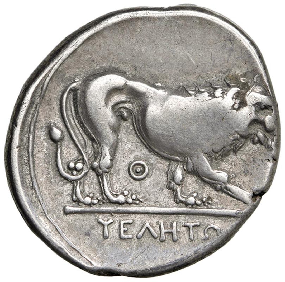 Rovescio moneta