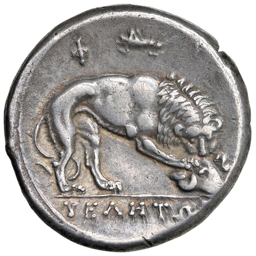 Rovescio moneta