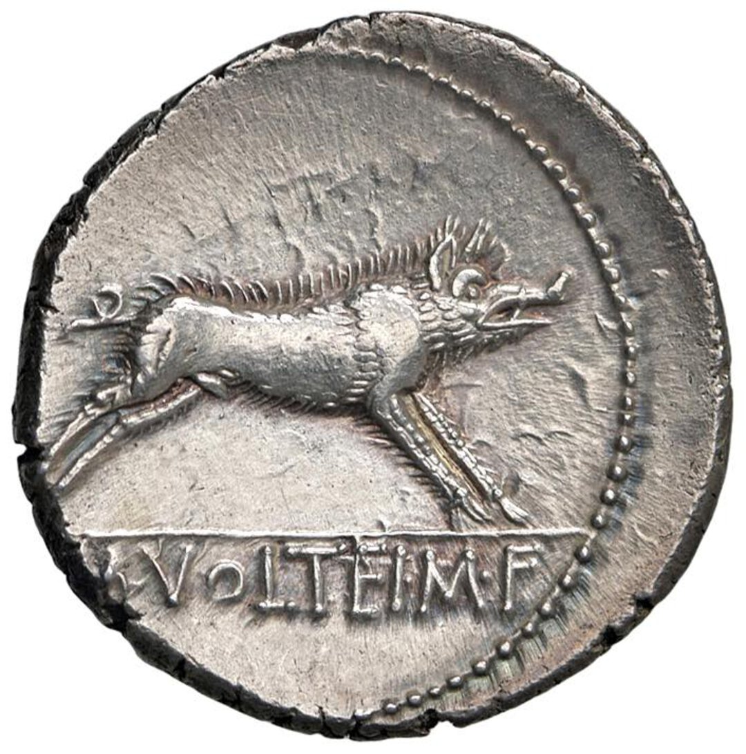 Rovescio moneta