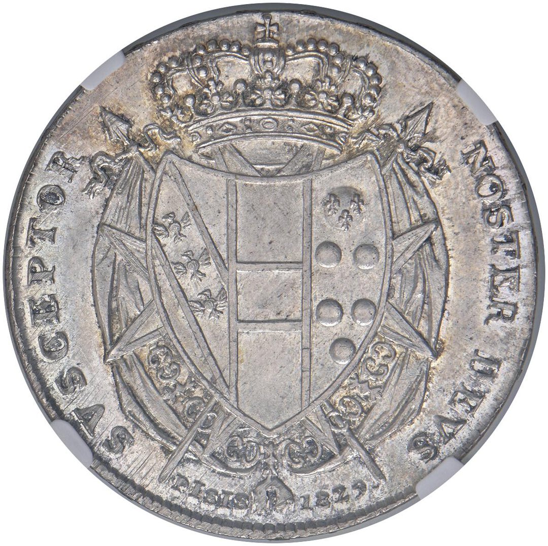 Rovescio moneta