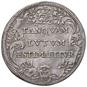 Immagine rovescio