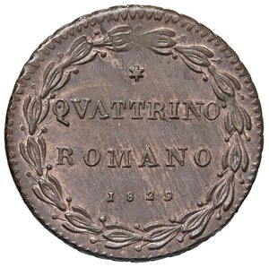 Immagine rovescio