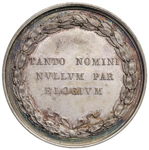 Immagine rovescio