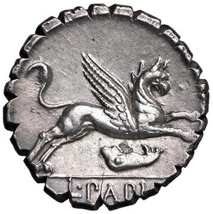 Immagine rovescio