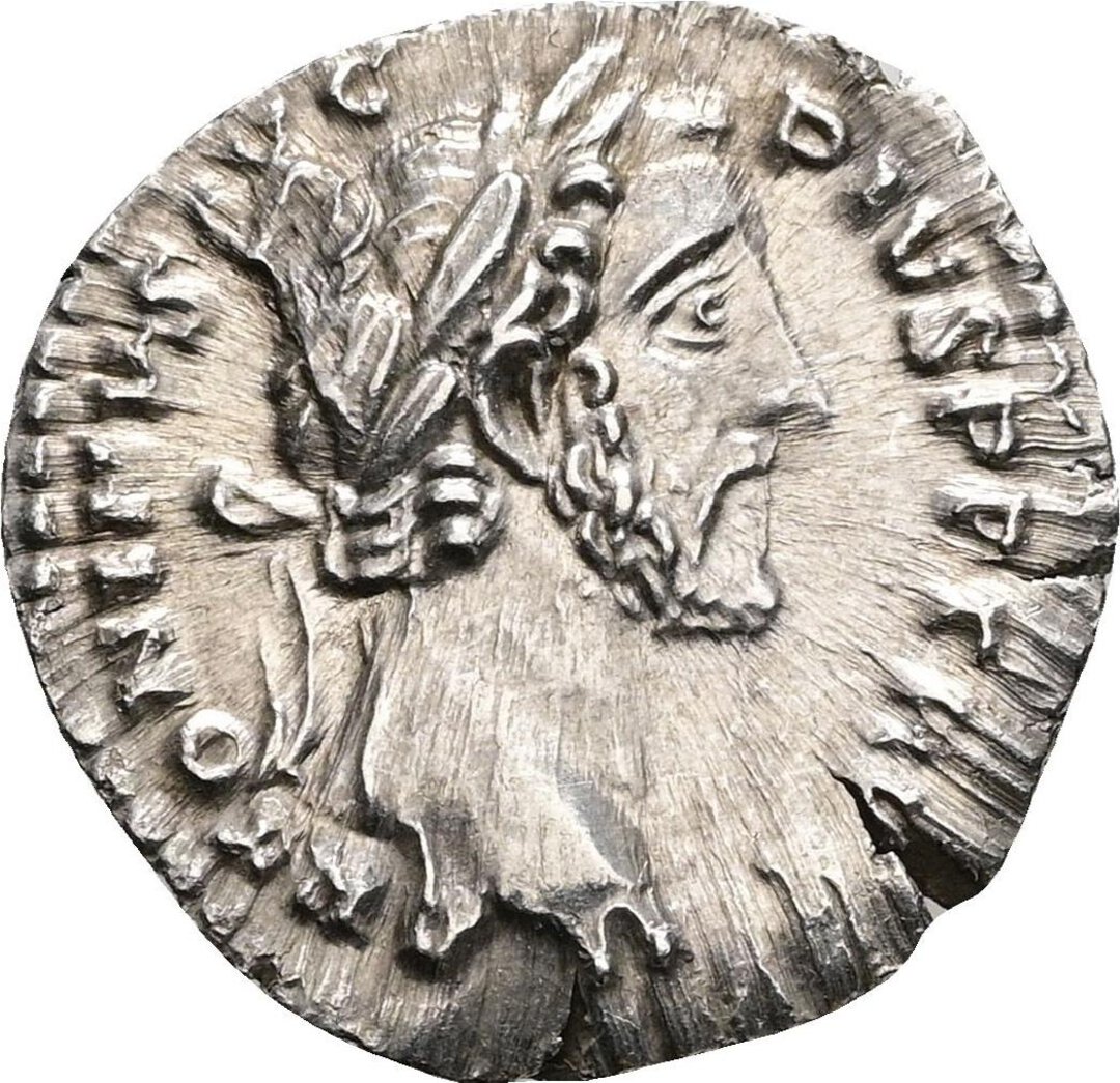 Dritto moneta