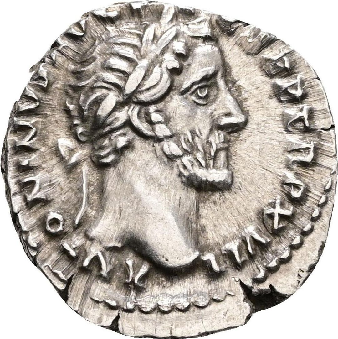 Dritto moneta