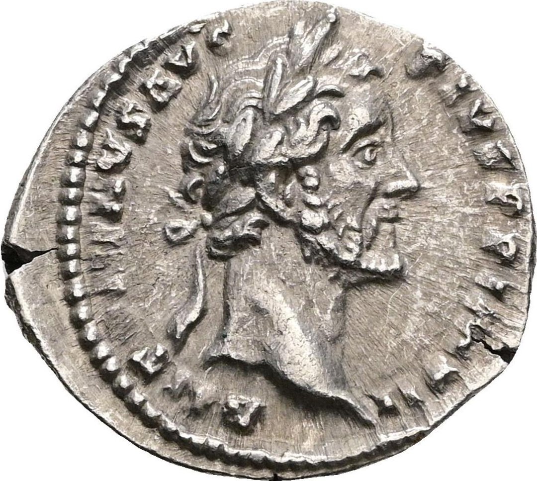 Dritto moneta