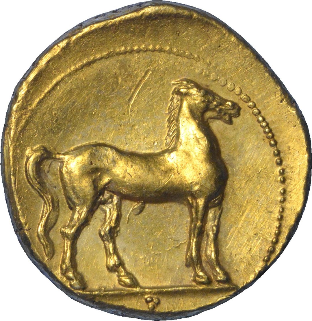 Rovescio moneta