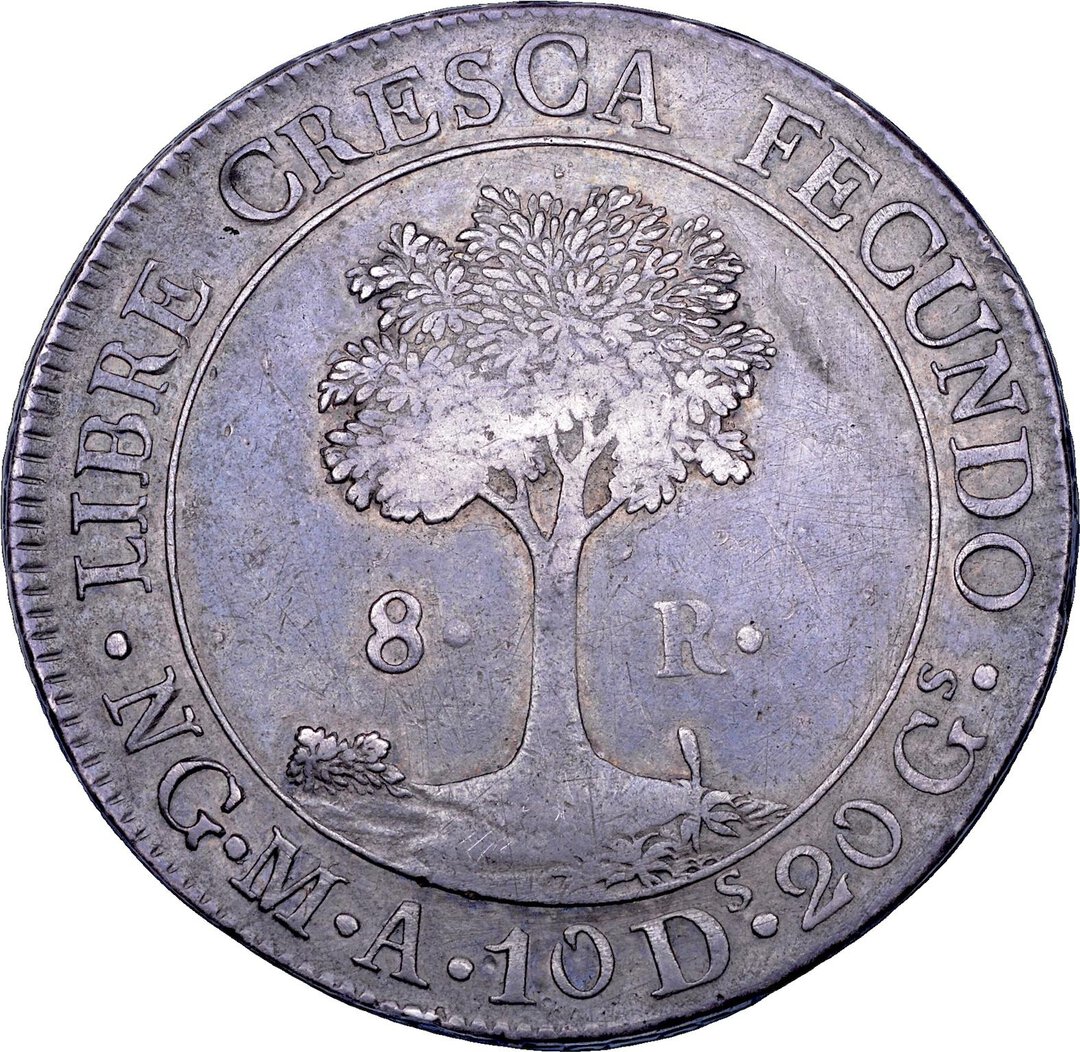 Rovescio moneta