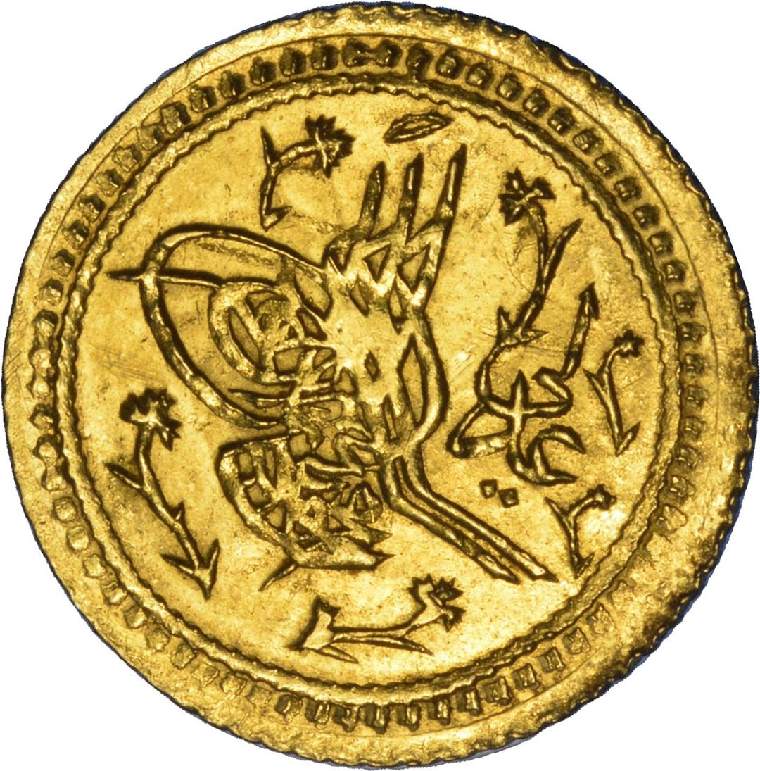 Dritto moneta