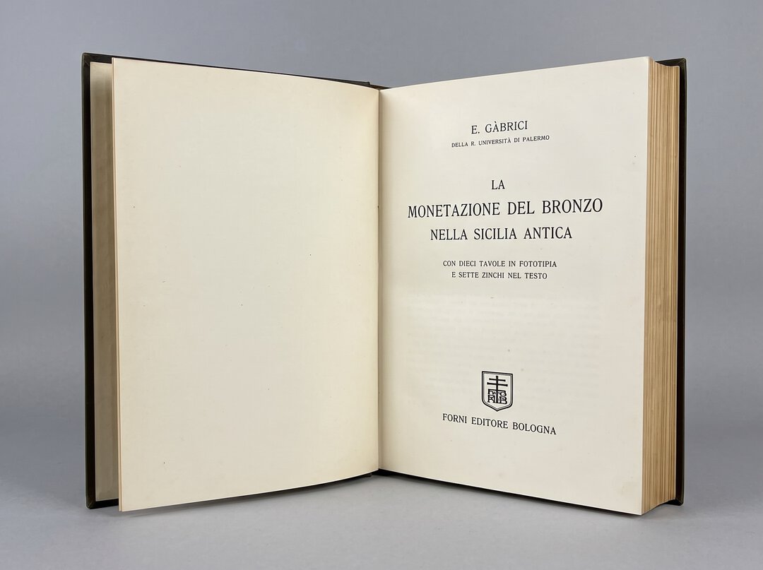 Dritto moneta