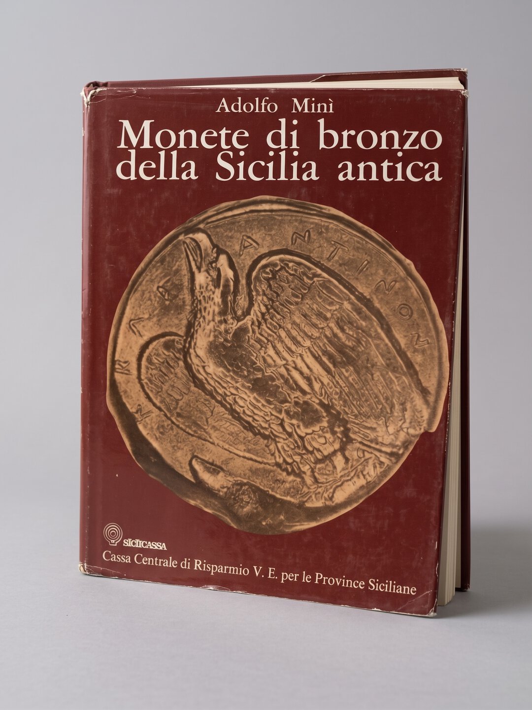 Dritto moneta
