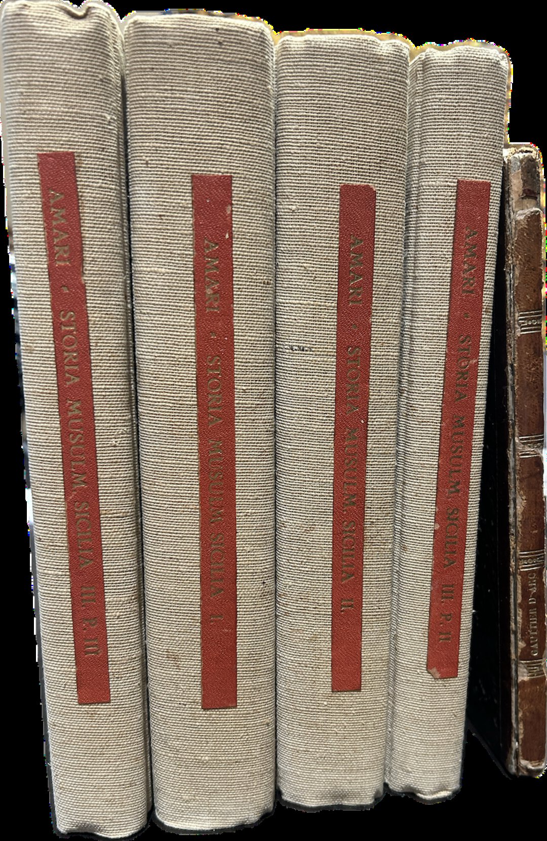 Dritto moneta