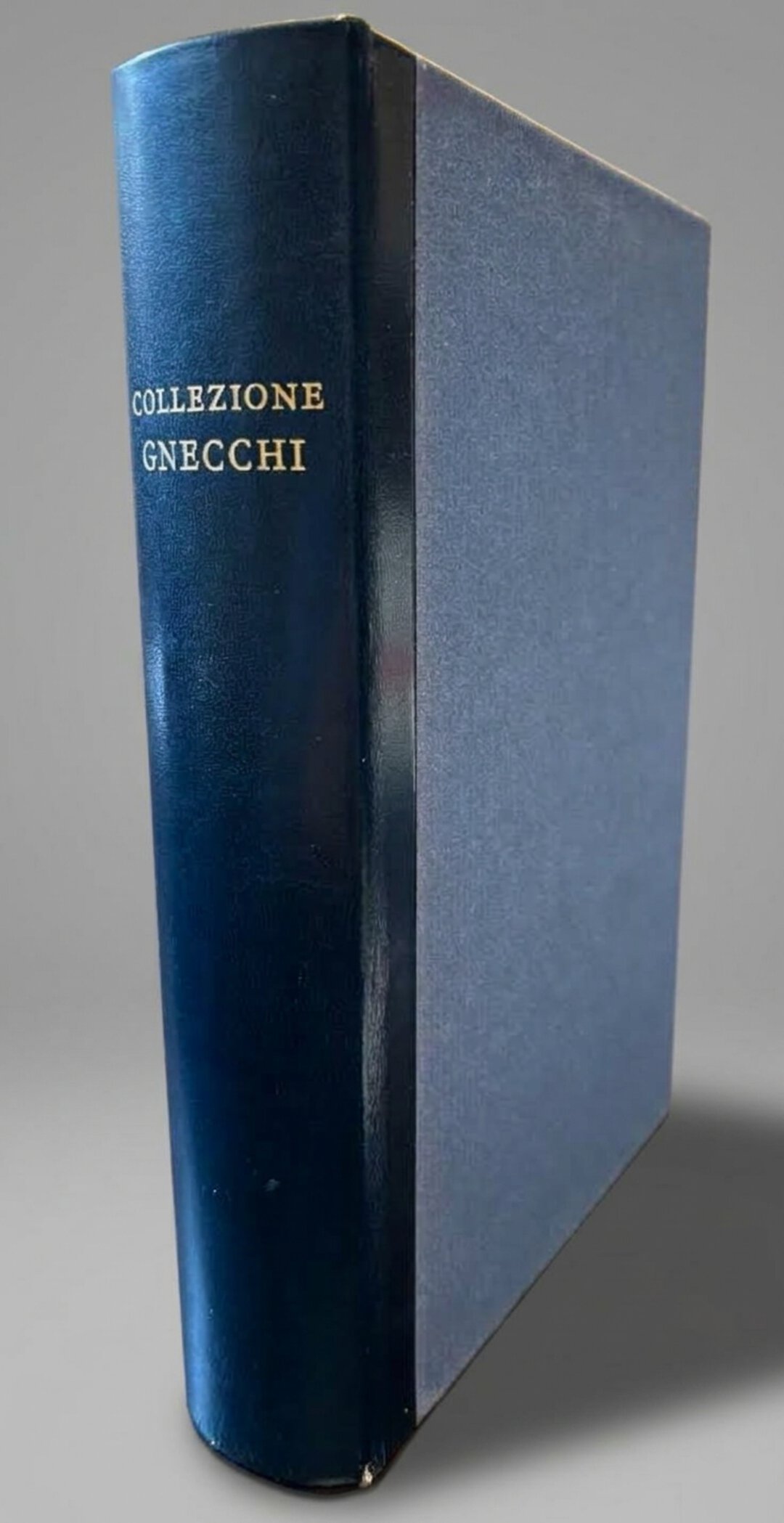 Dritto moneta