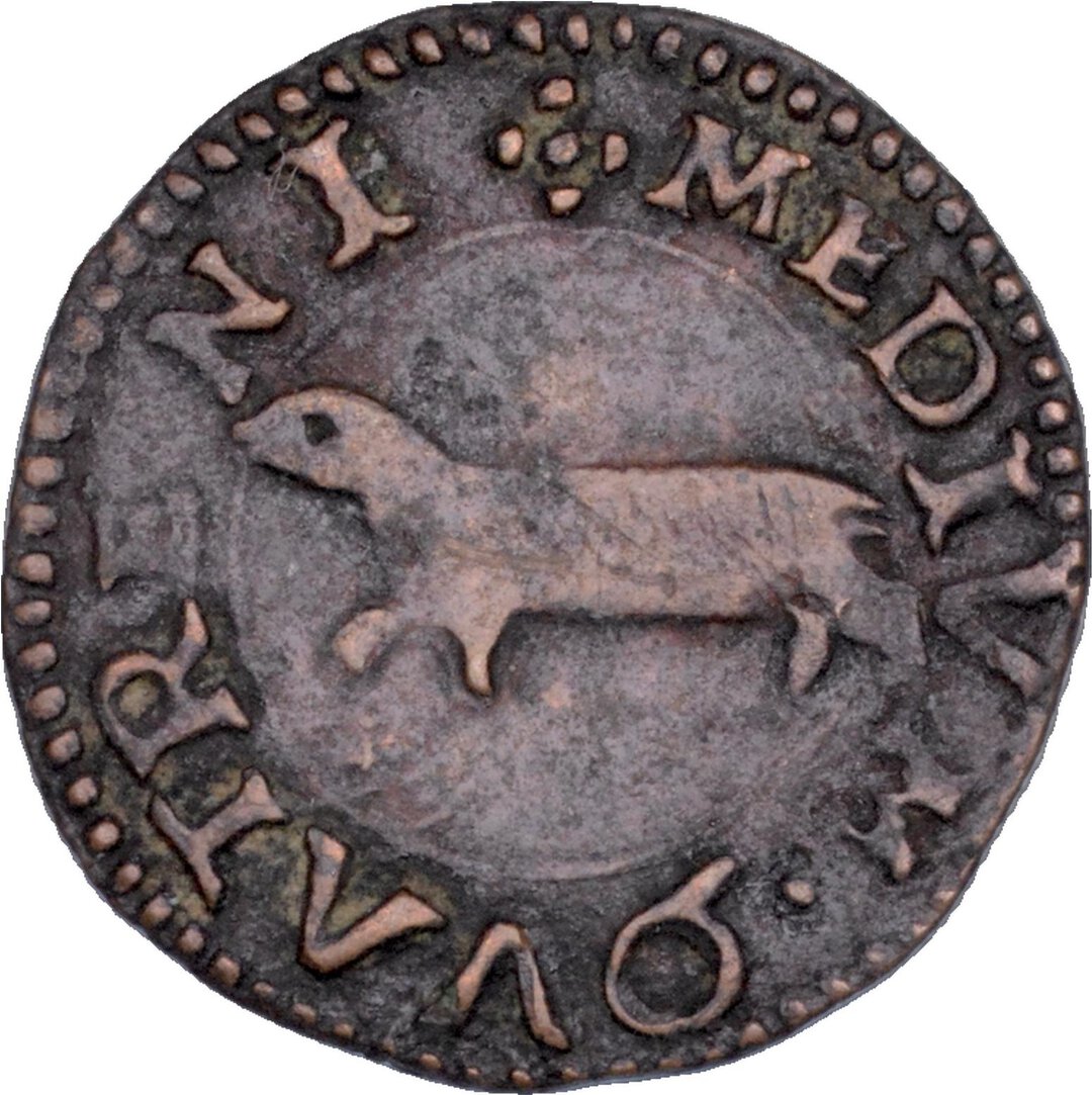 Rovescio moneta