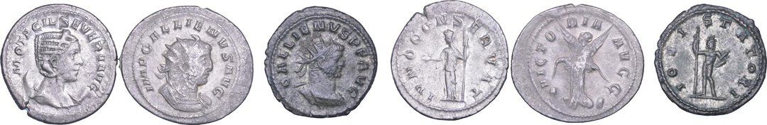 Dritto moneta
