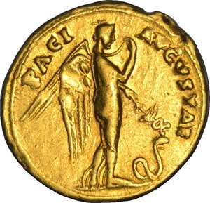 Immagine rovescio
