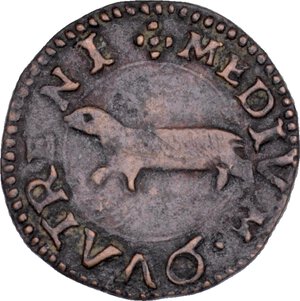 Immagine rovescio