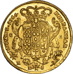 Immagine rovescio