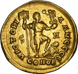 Immagine rovescio